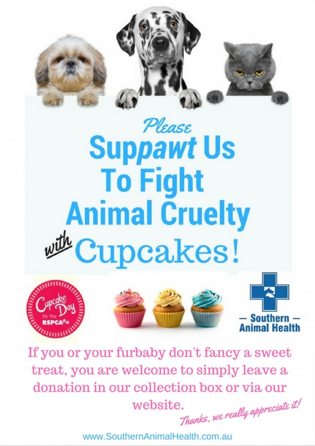 A4 RSPCA Cupcake Day Southern Animal Health